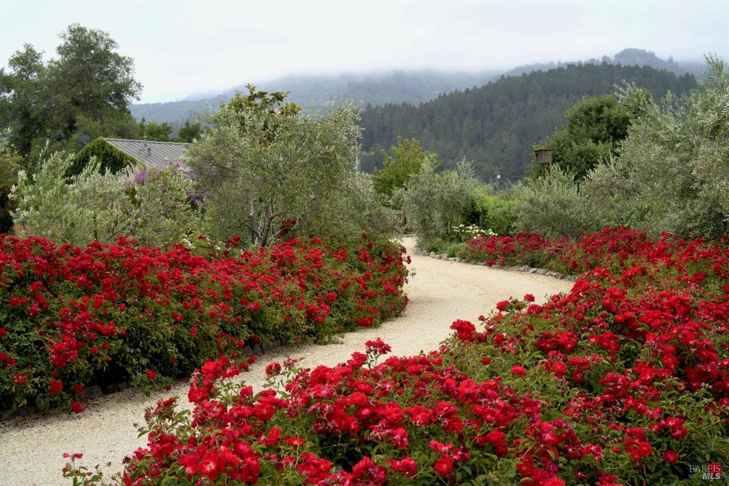 1480 S Whitehall Lane