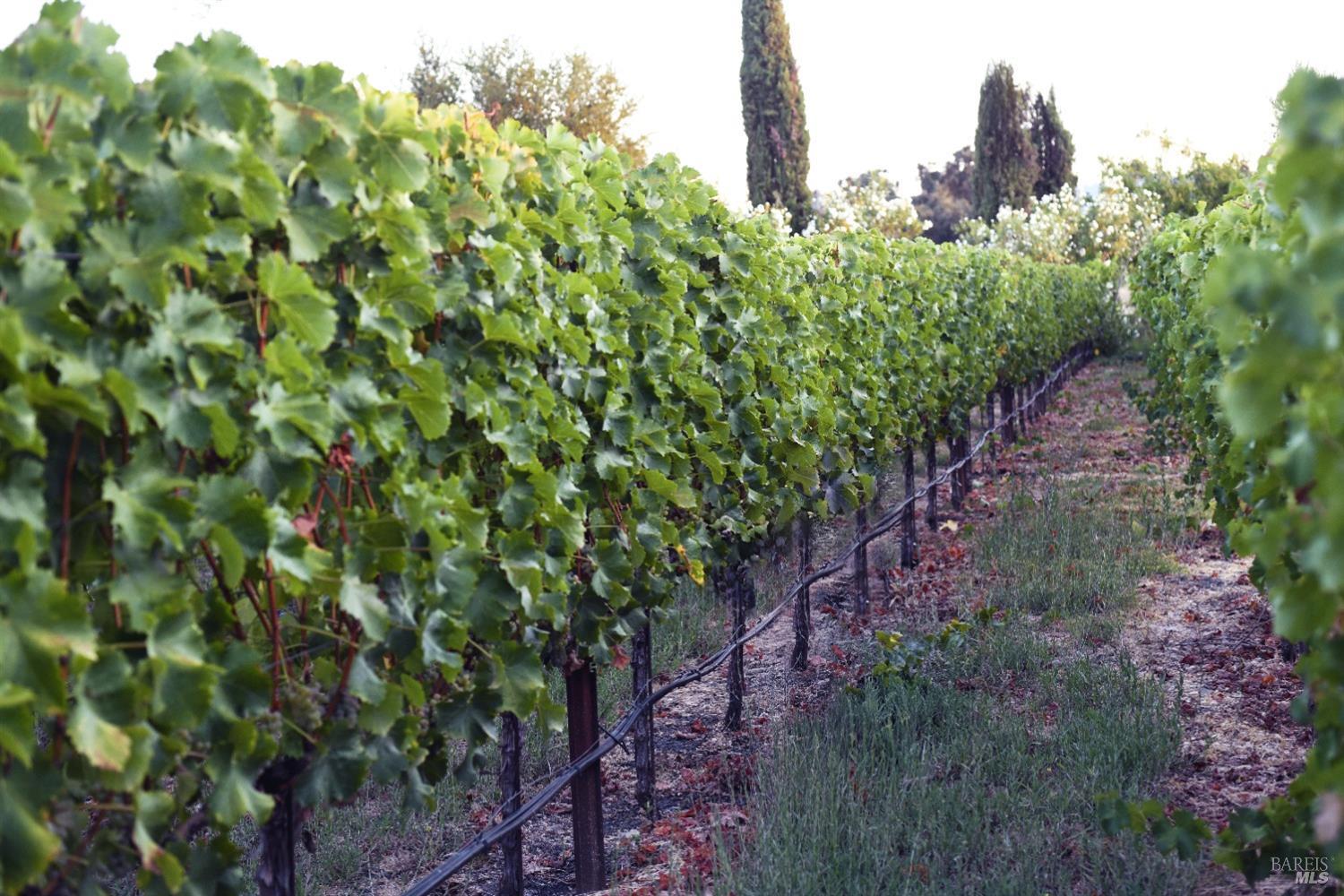 1480 S Whitehall Lane