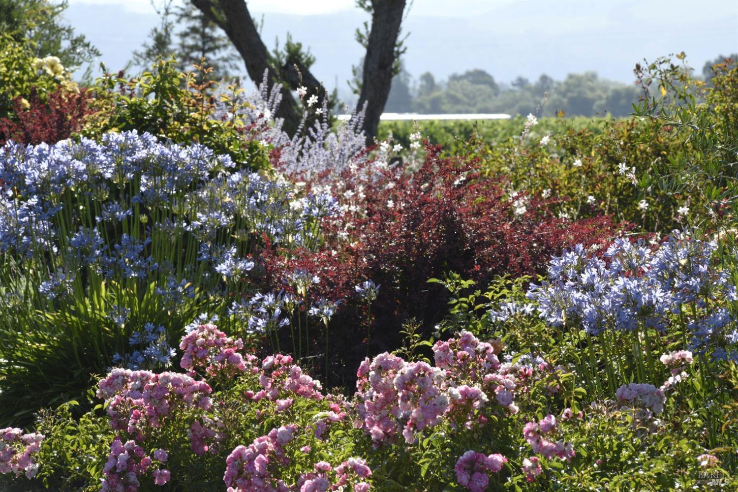 1480 S Whitehall Lane