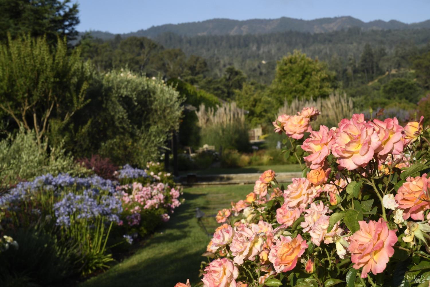 1480 S Whitehall Lane