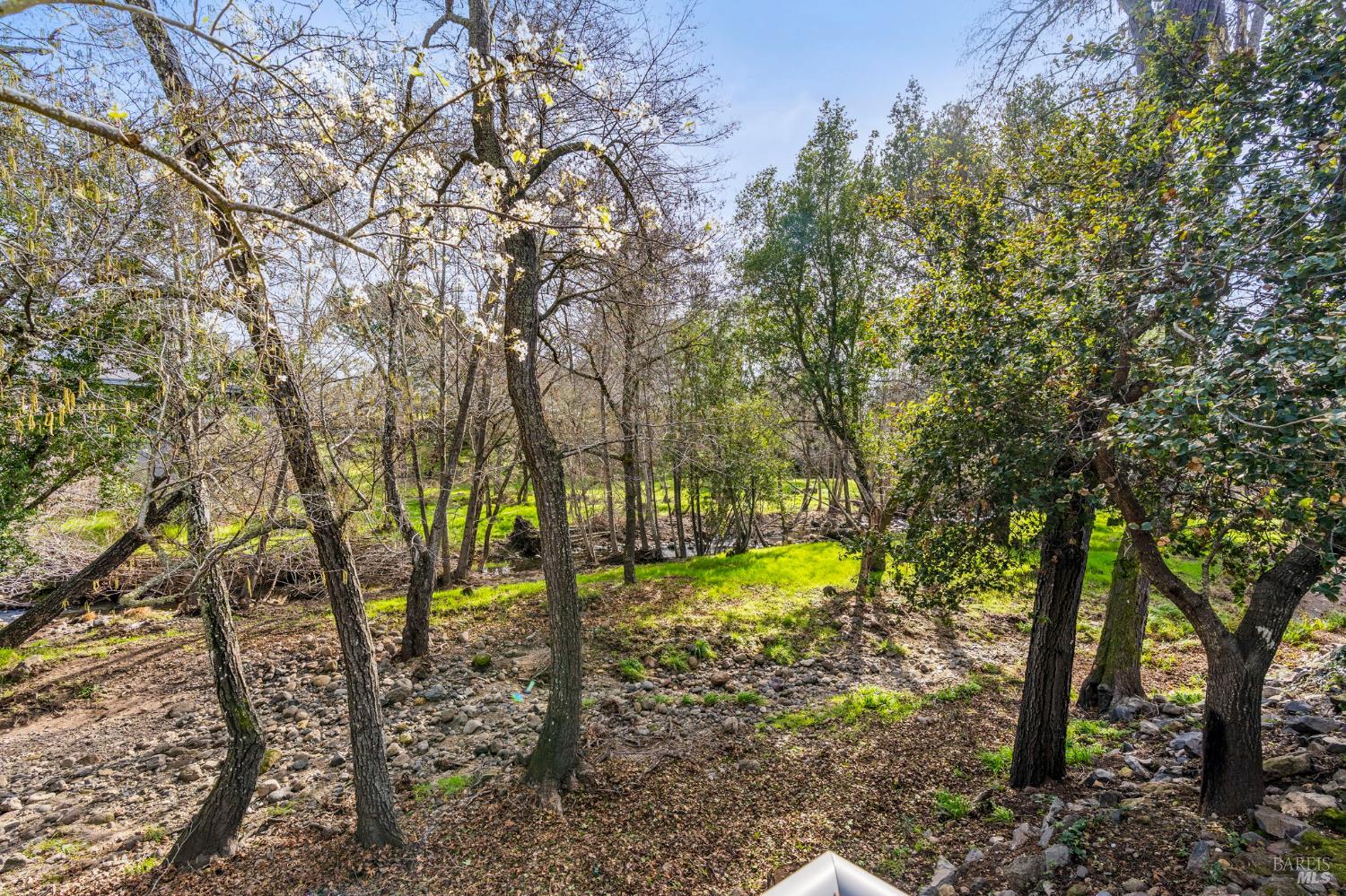 152 Bonnie Brook Drive