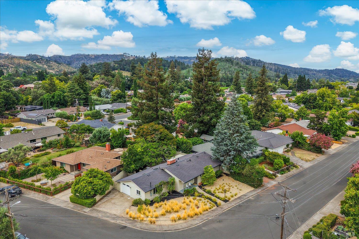 1703 Crinella Drive