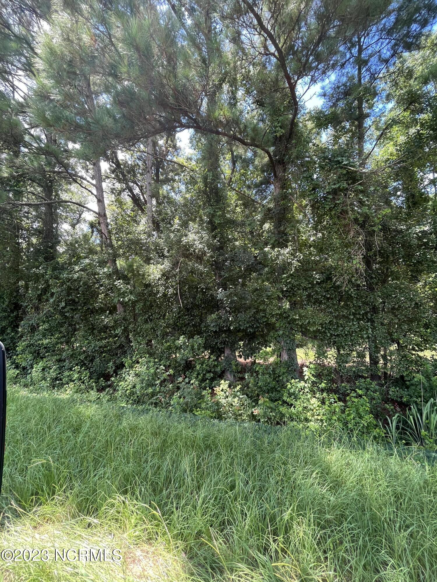 0 Dewitt Gooden Road