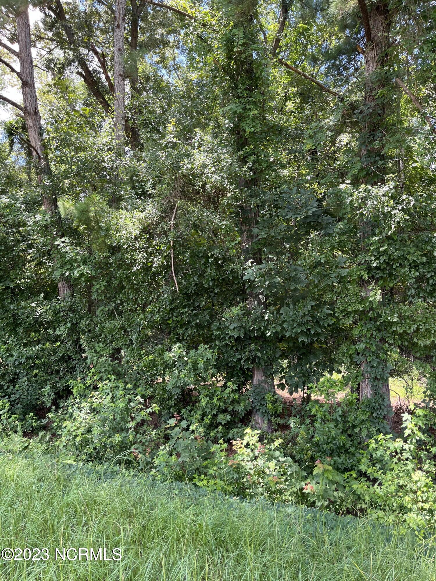 0 Dewitt Gooden Road