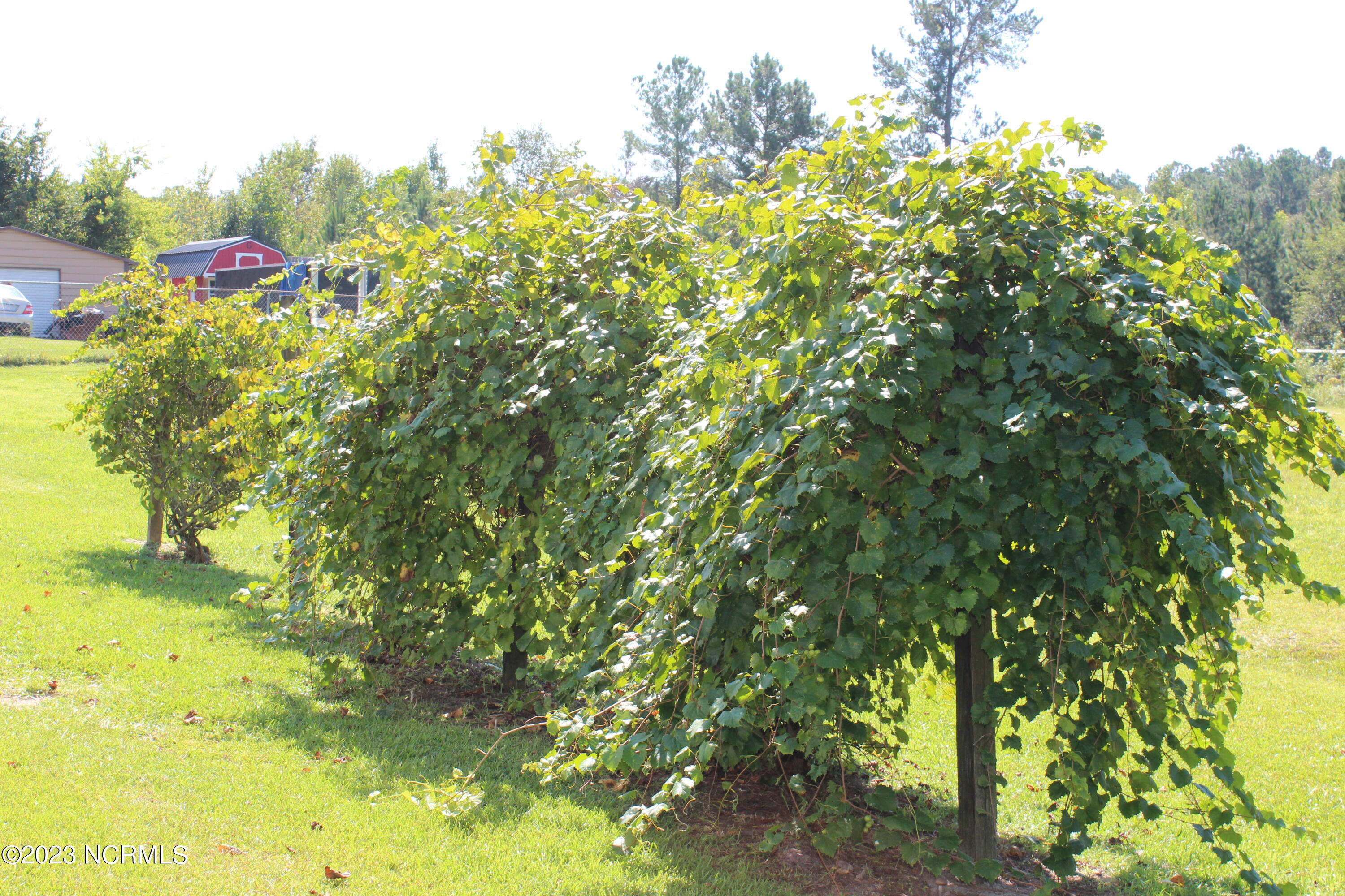 10436 Nc Highway 87 E