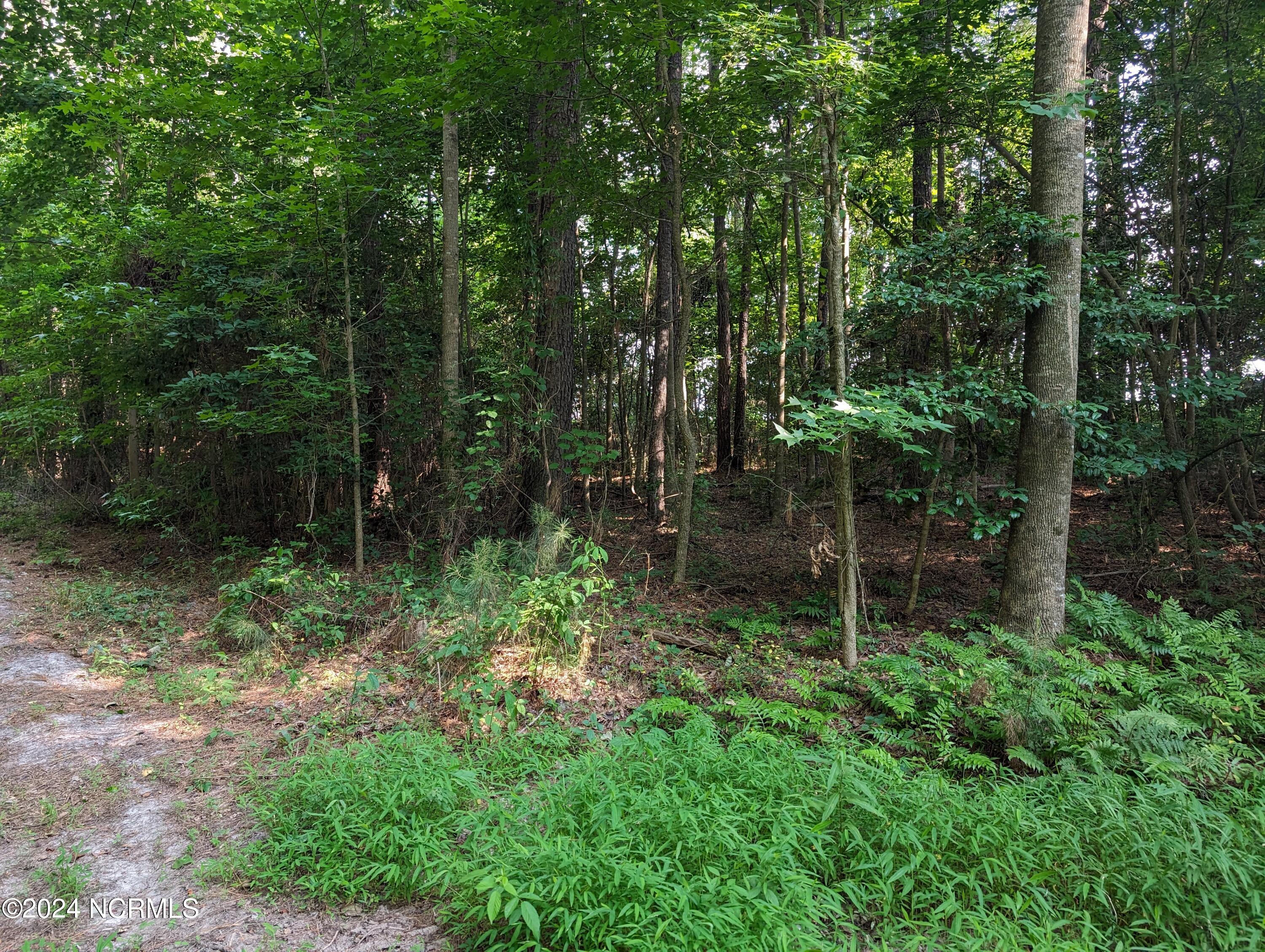 4595 1 and 11 Mercer Mill Road