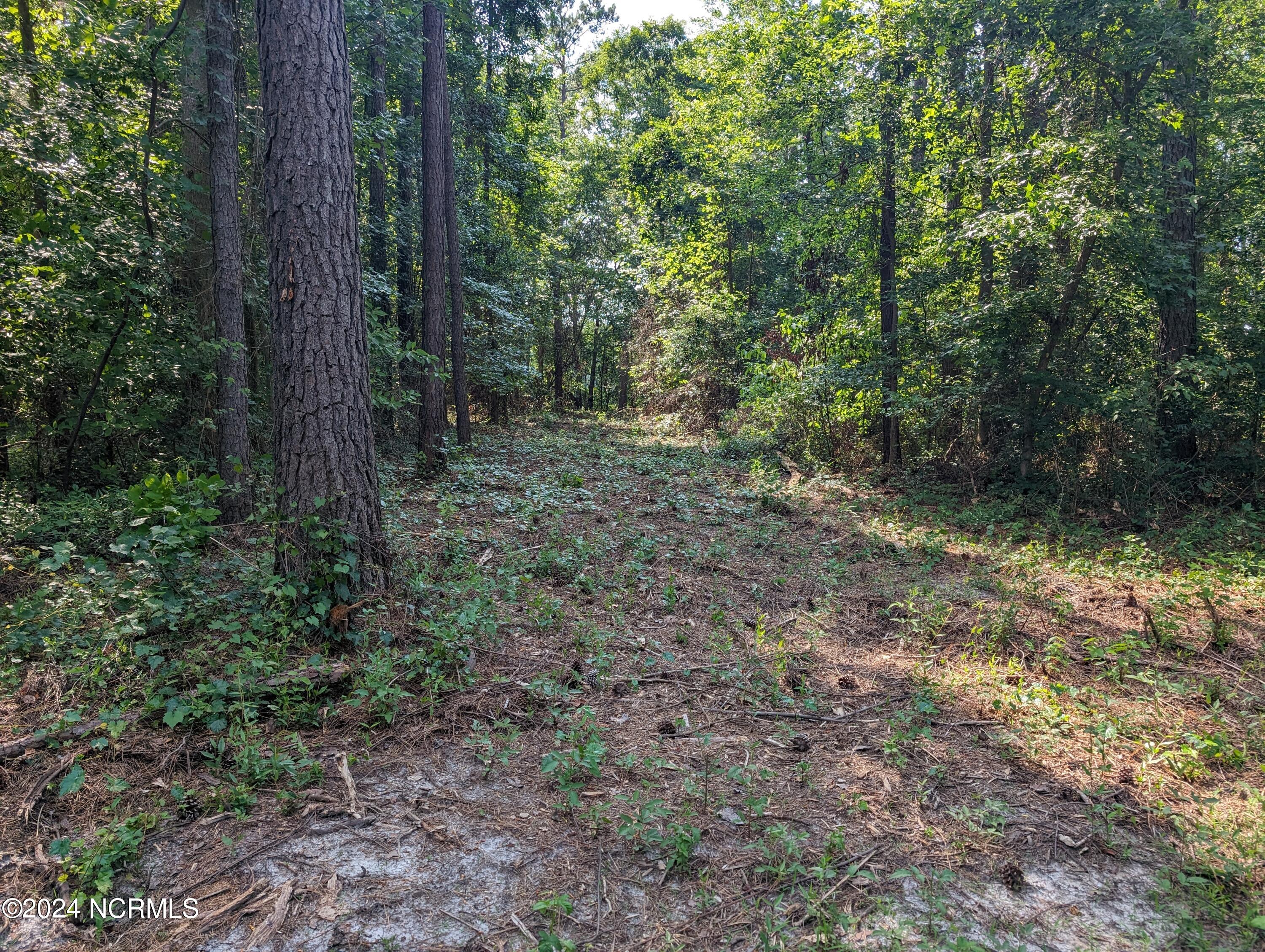 4595 1 and 11 Mercer Mill Road