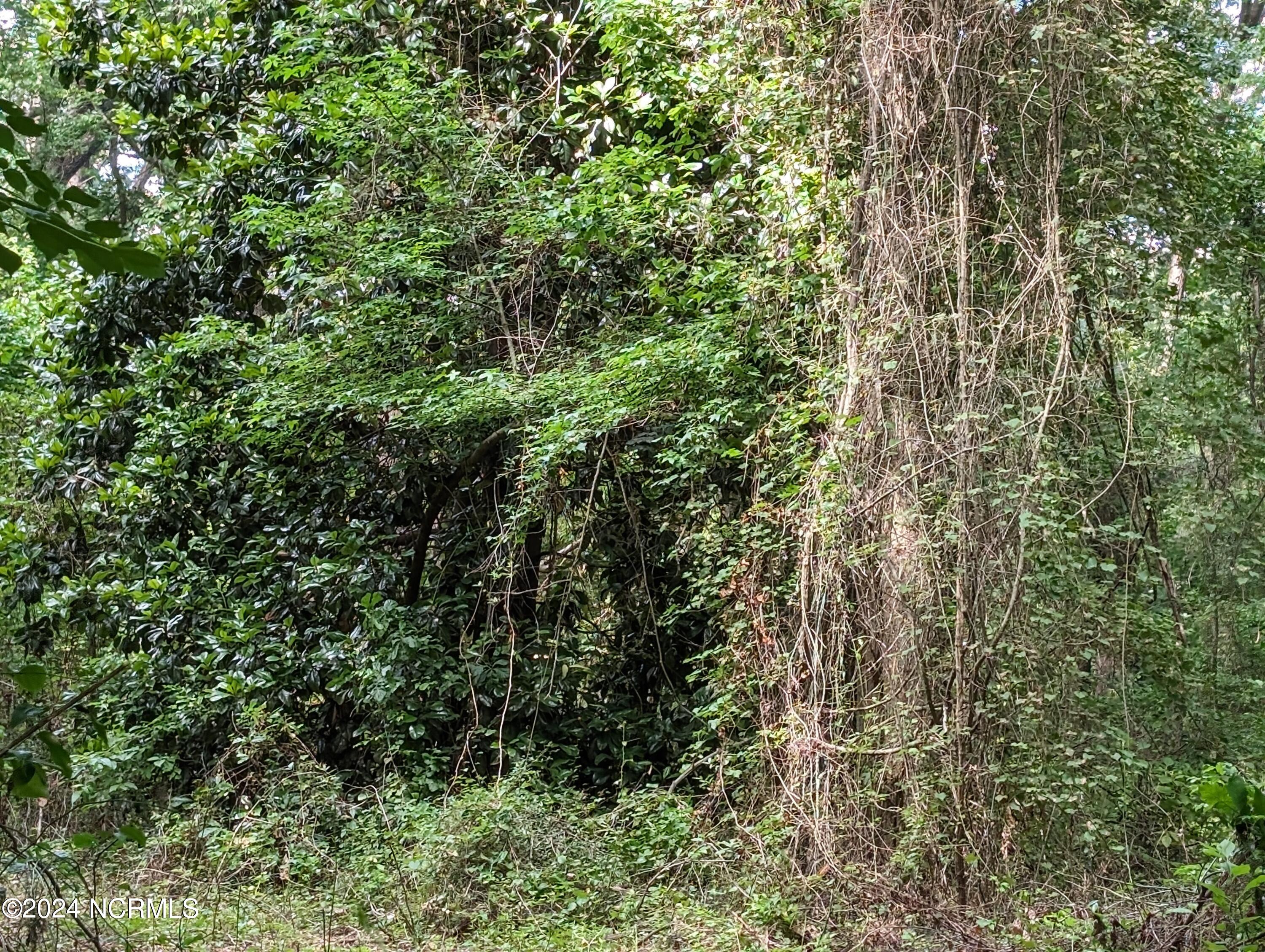 4498 9 and 10 Mercer Mill Brown Marsh Road