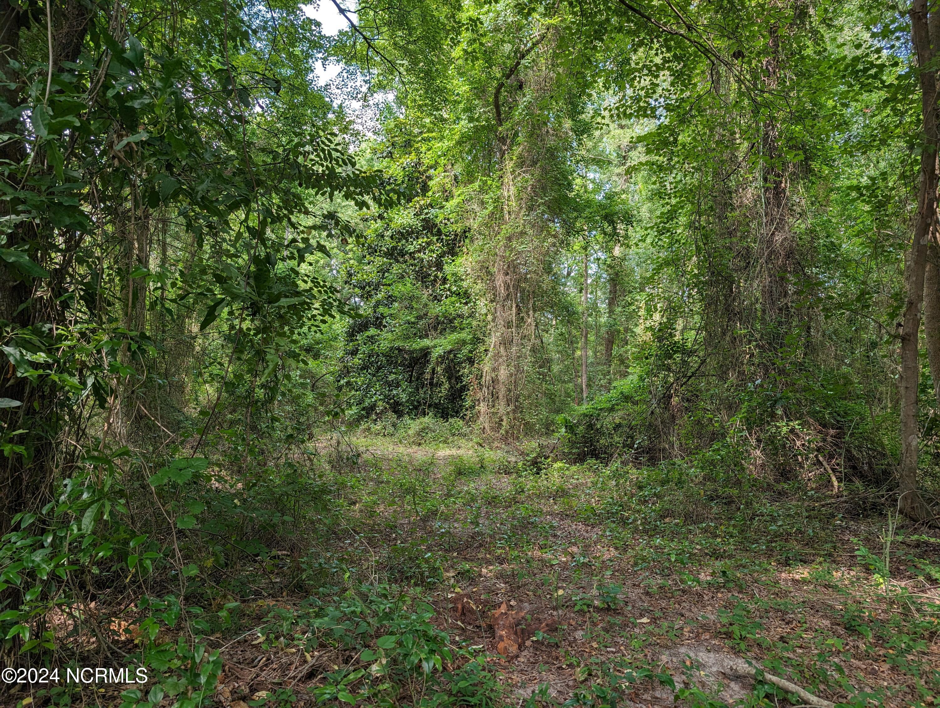 4498 9 and 10 Mercer Mill Brown Marsh Road