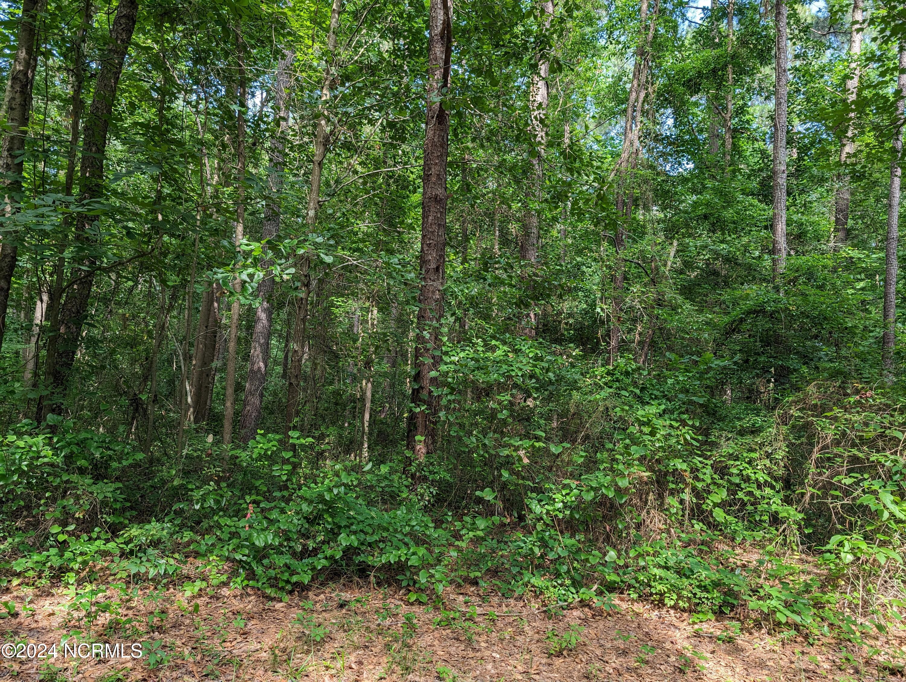 4498 9 and 10 Mercer Mill Brown Marsh Road