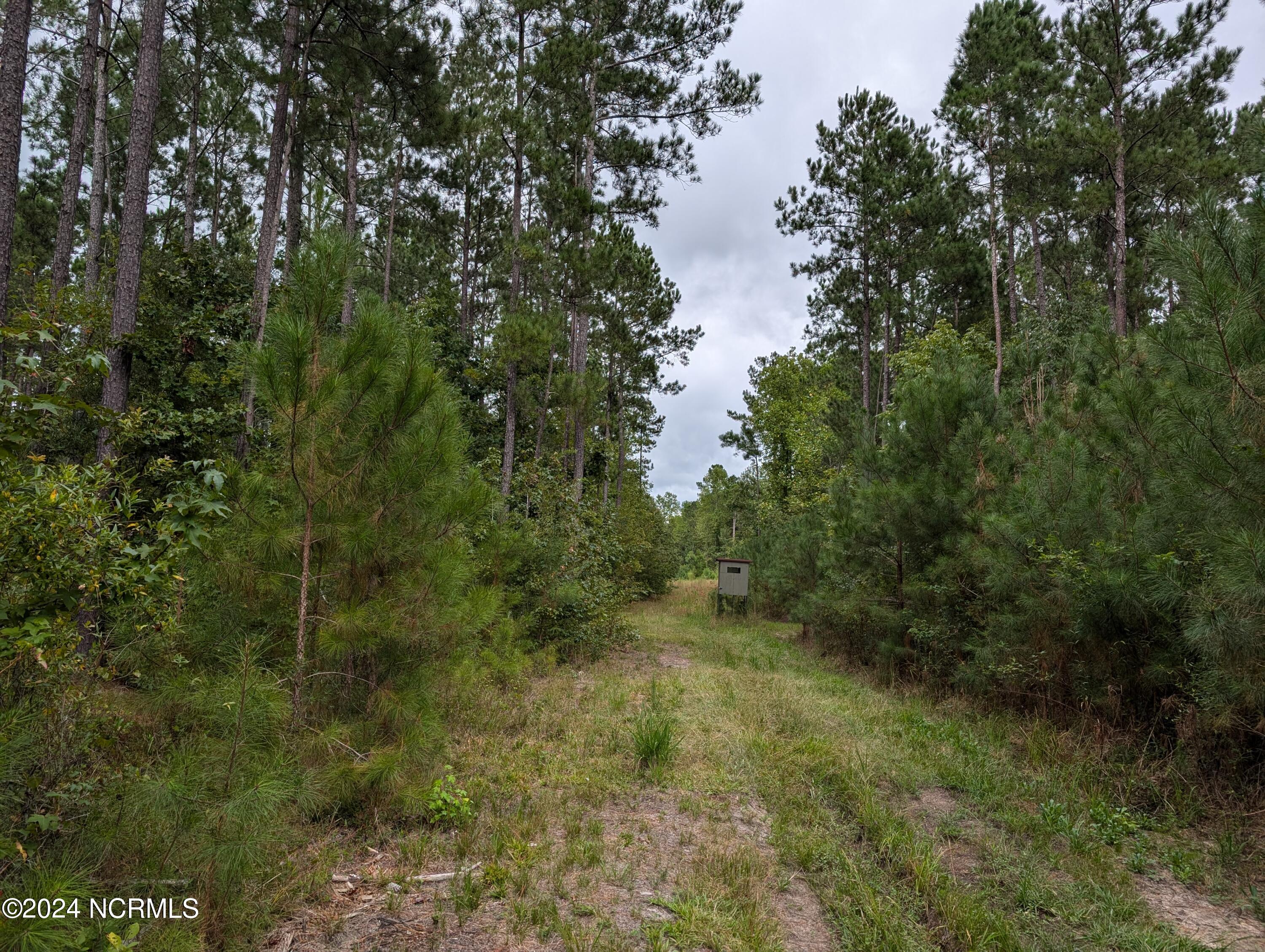3867 Airport Road