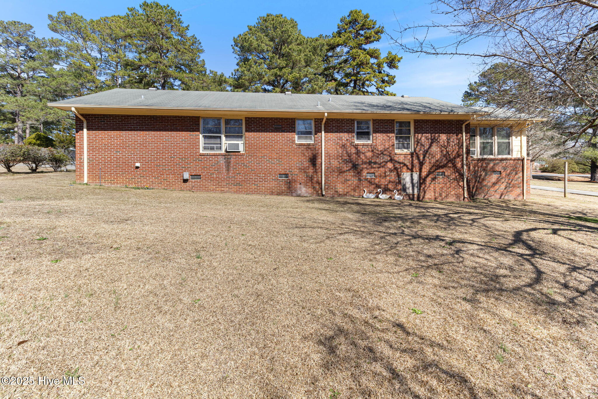 707 Richardson Street