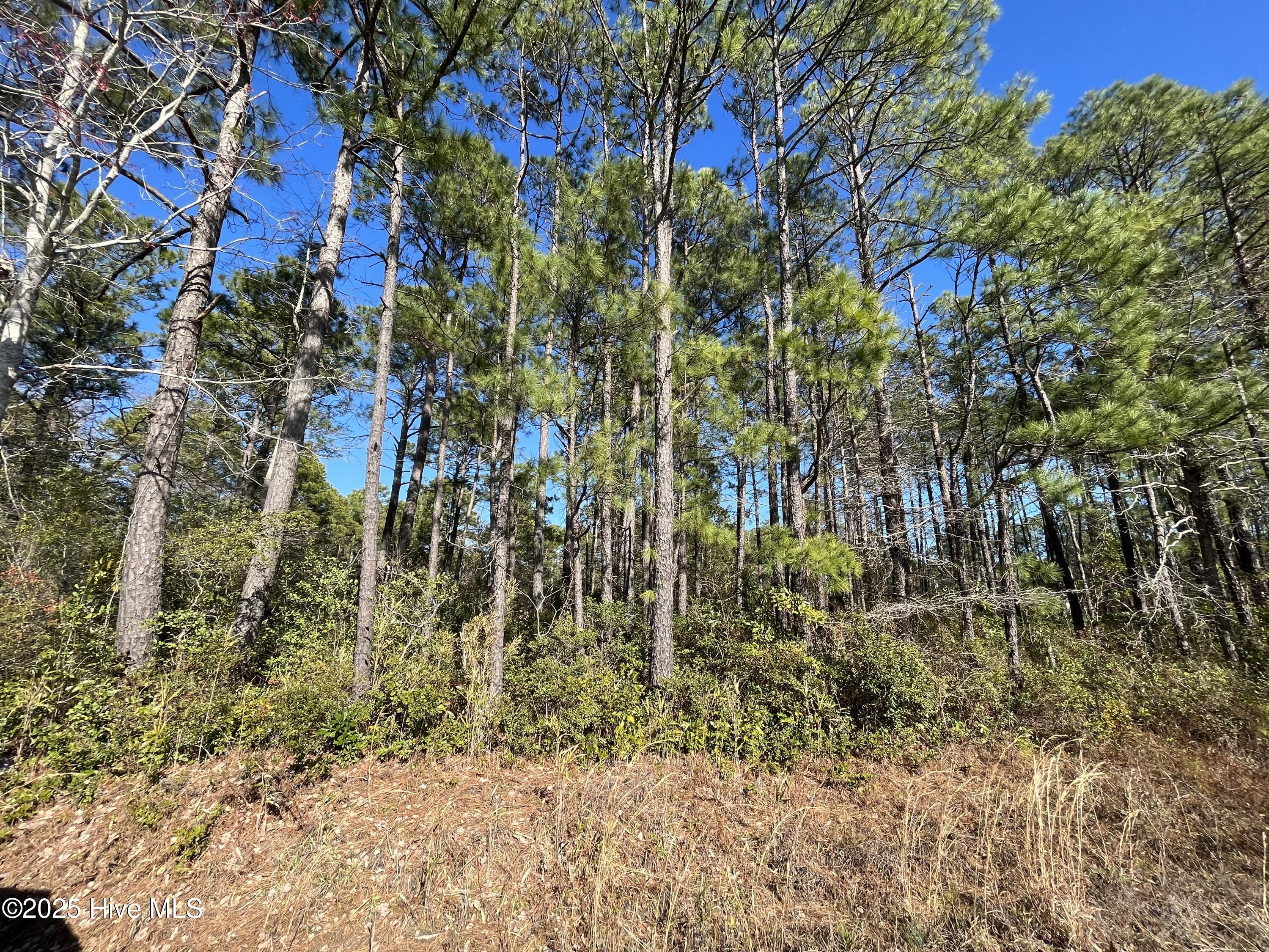 1224 Gray Bridge Road SW