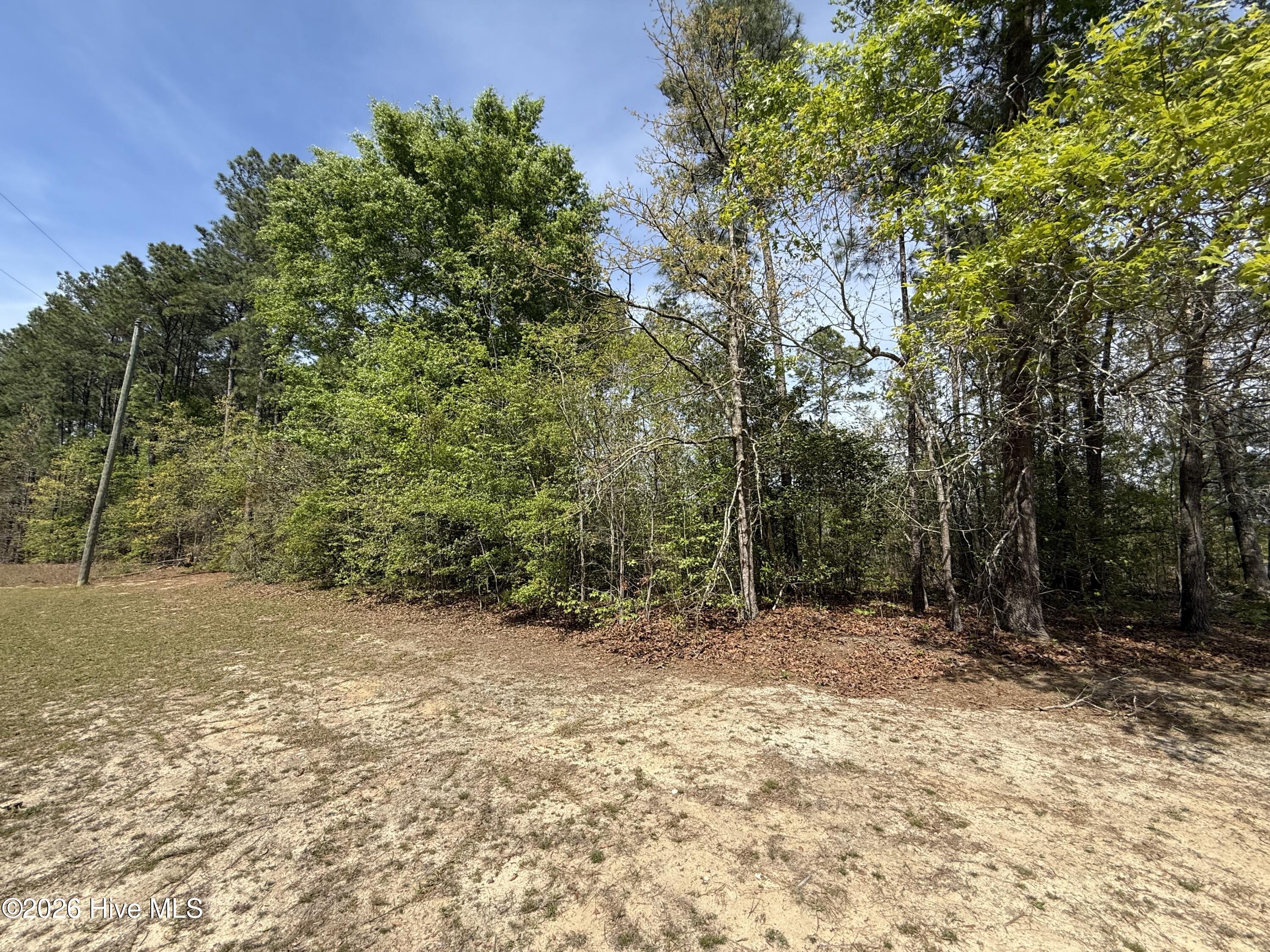 371 Maysville Lane