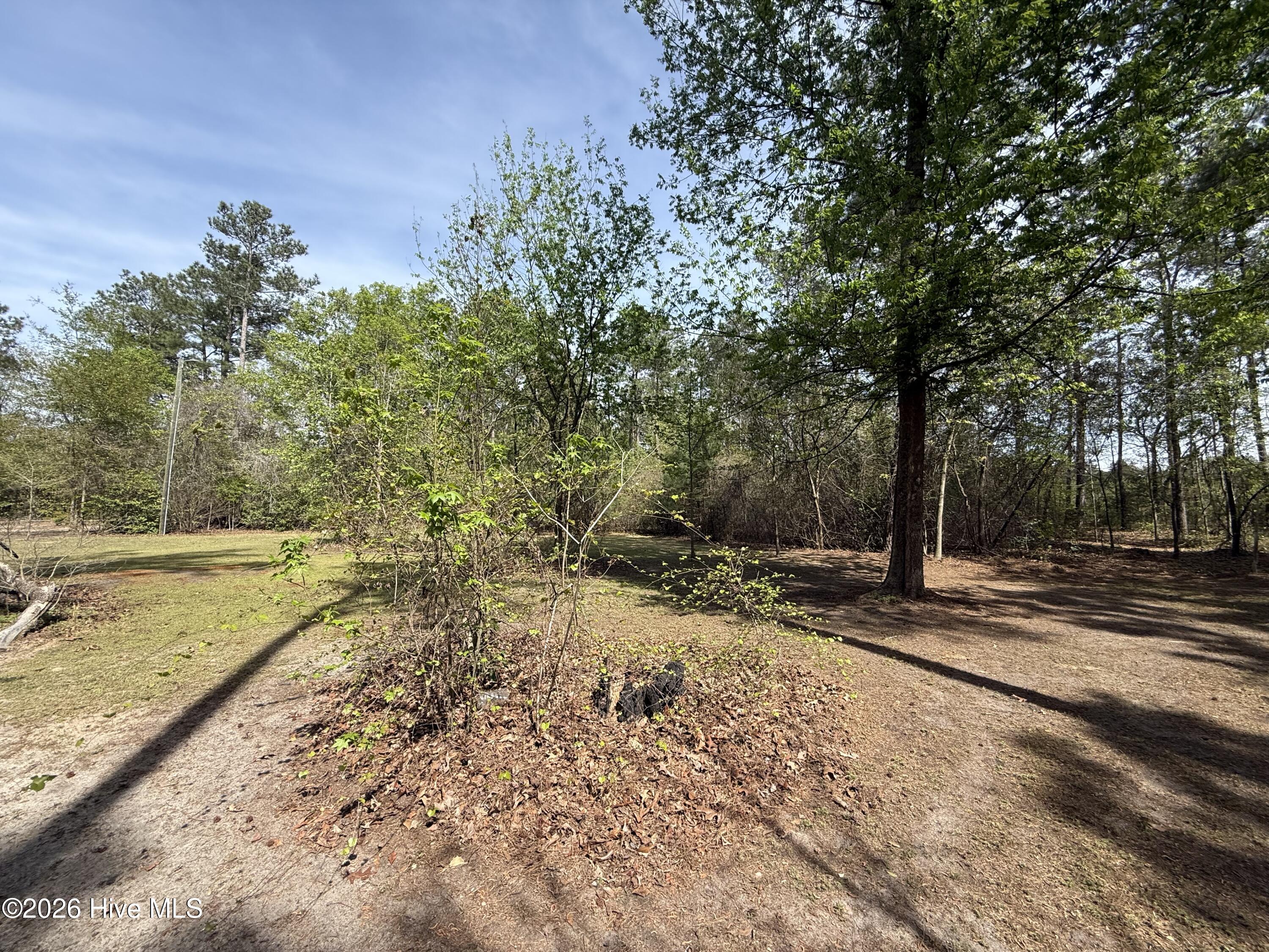 371 Maysville Lane