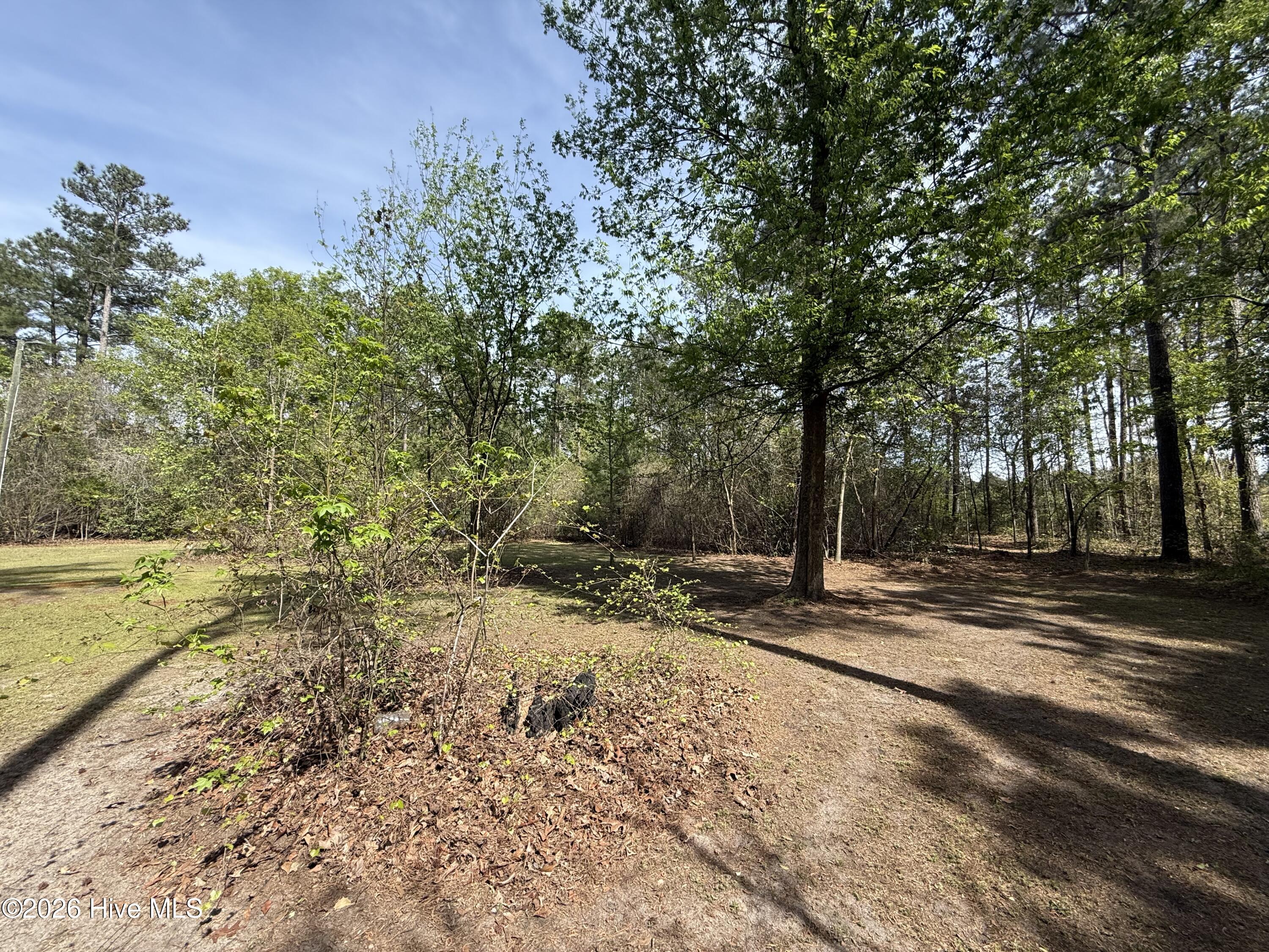 371 Maysville Lane