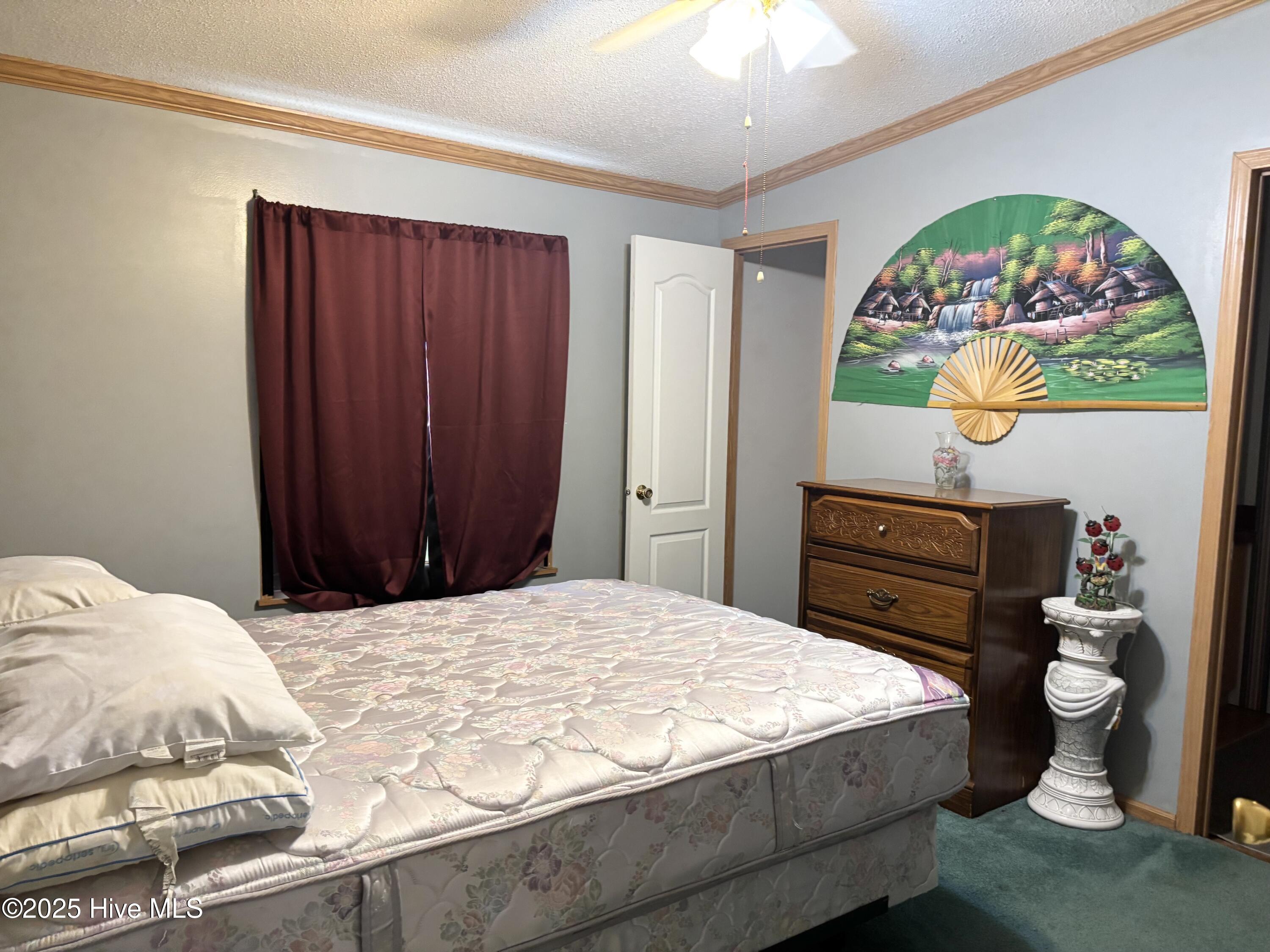 371 Maysville Lane