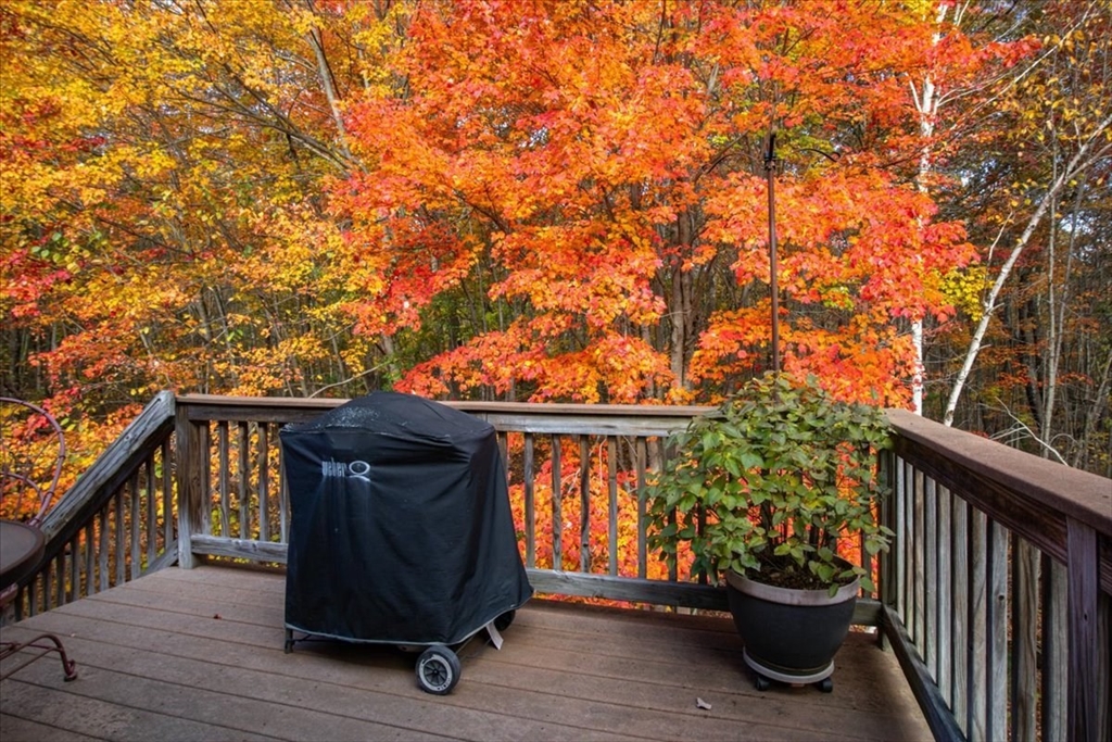 85 Buttercup Lane # 85