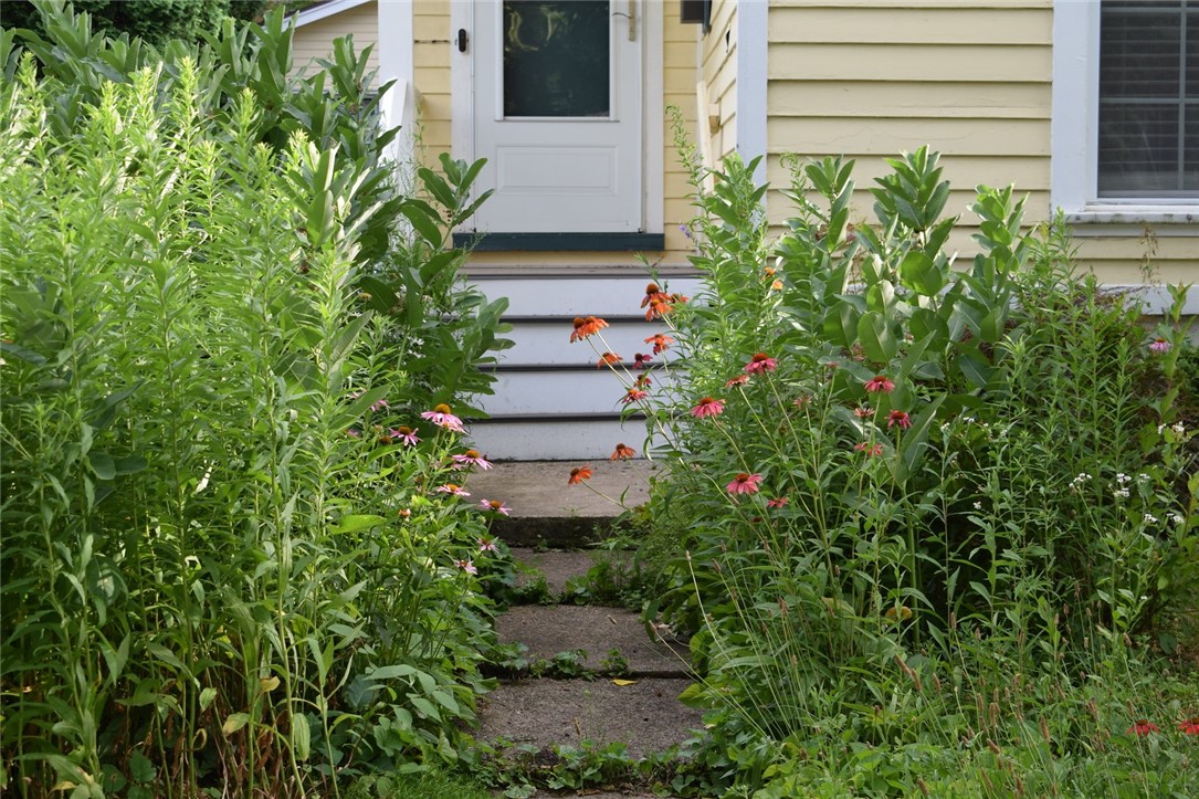 185 Caroline Street
