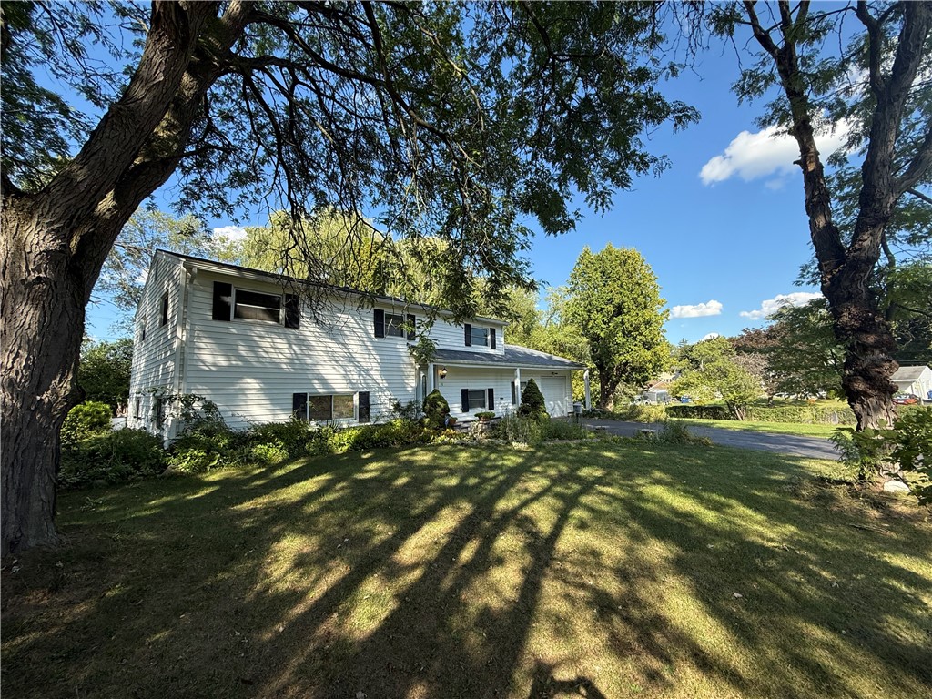 9 Amesbury Road