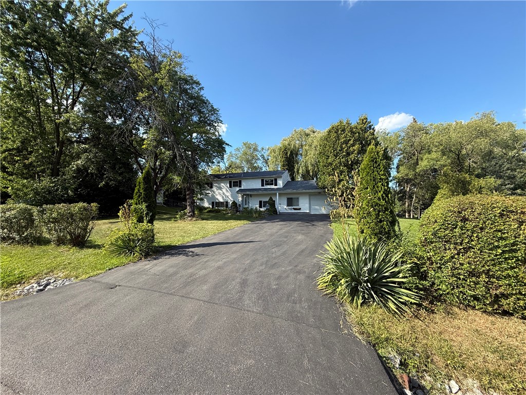 9 Amesbury Road