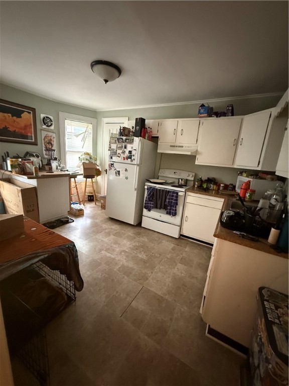 223 Alexander Street