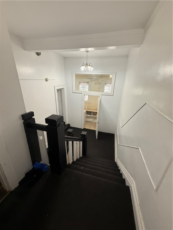 223 Alexander Street