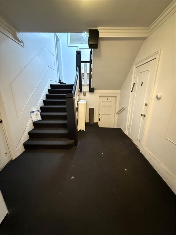 223 Alexander Street