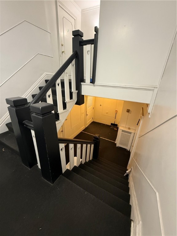 223 Alexander Street