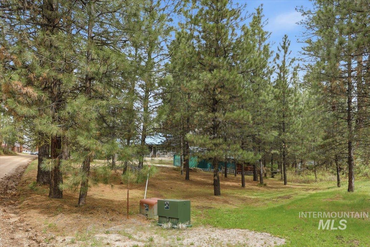 20 Bull Pine Rd