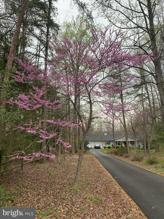 230 RICHARDS FERRY ROAD