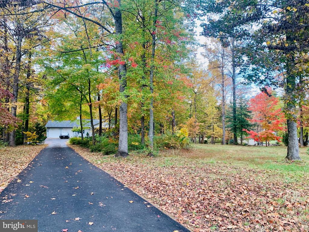 230 RICHARDS FERRY ROAD