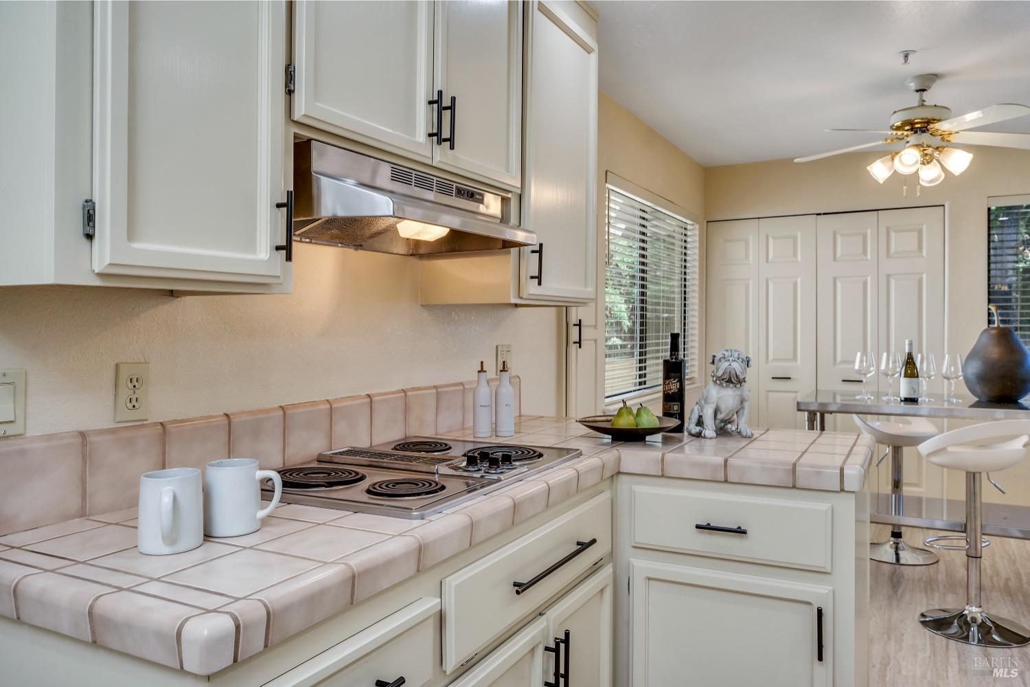 41 Fountain Grove Cir