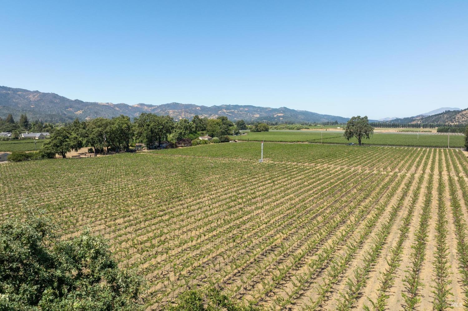 79 Zinfandel Ln