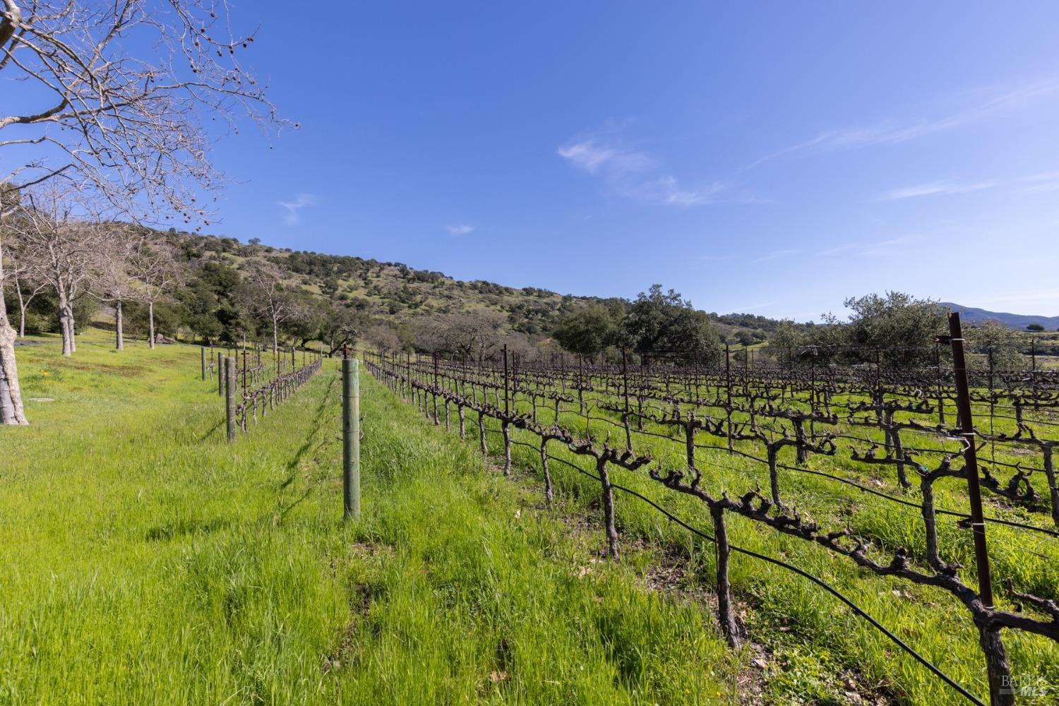 2300 Old Soda Springs Rd