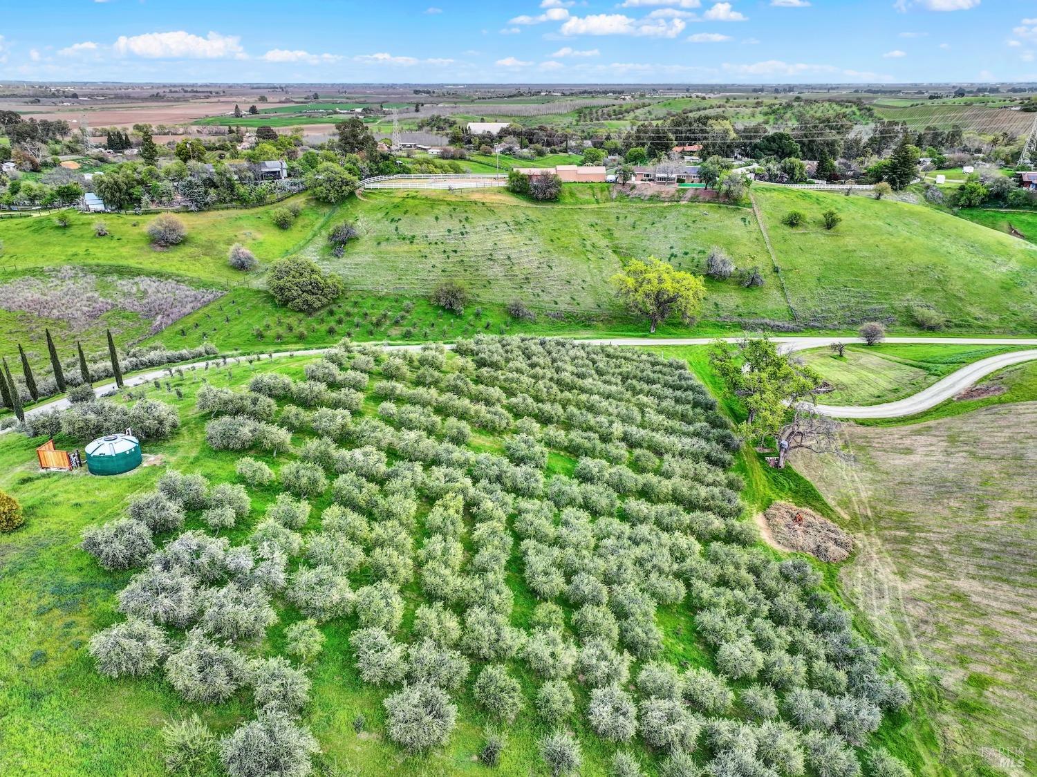 8349 Olive School Ln