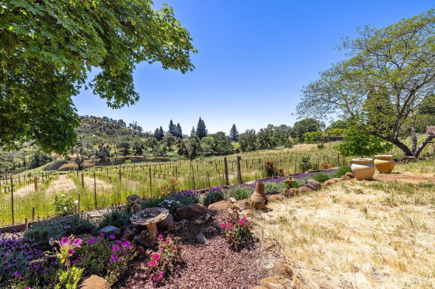 4084 Atlas Peak Rd