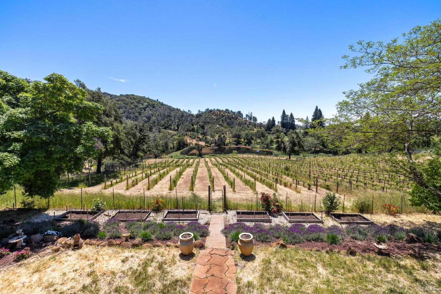 4084 Atlas Peak Rd