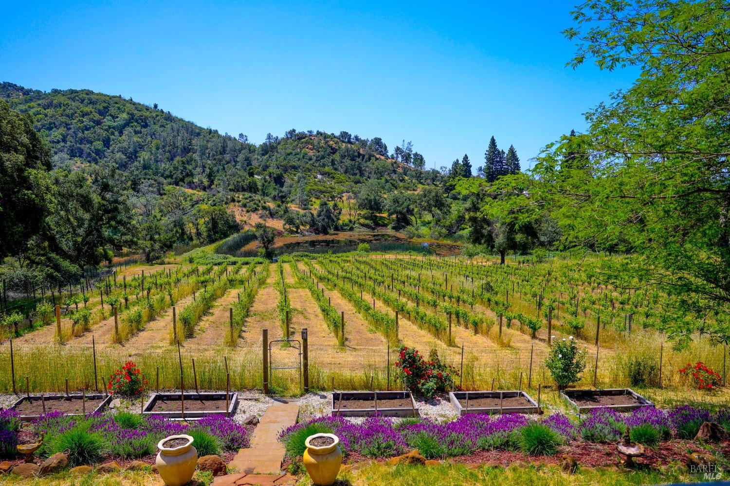 4084 Atlas Peak Rd
