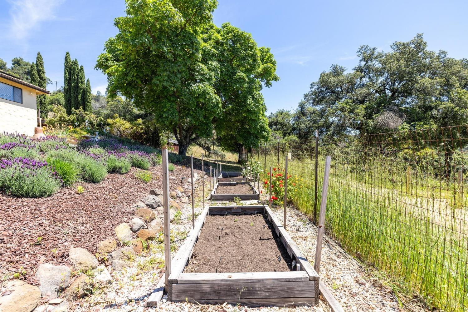 4084 Atlas Peak Rd