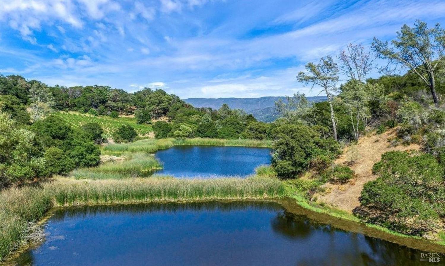 4084 Atlas Peak Rd