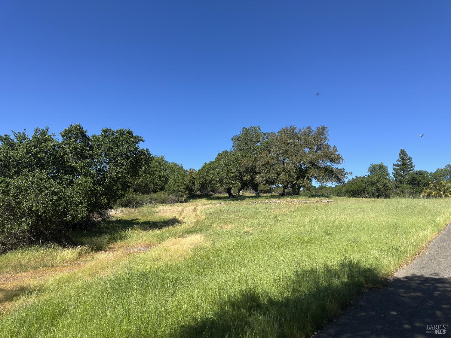 2355 Atlas Peak Road