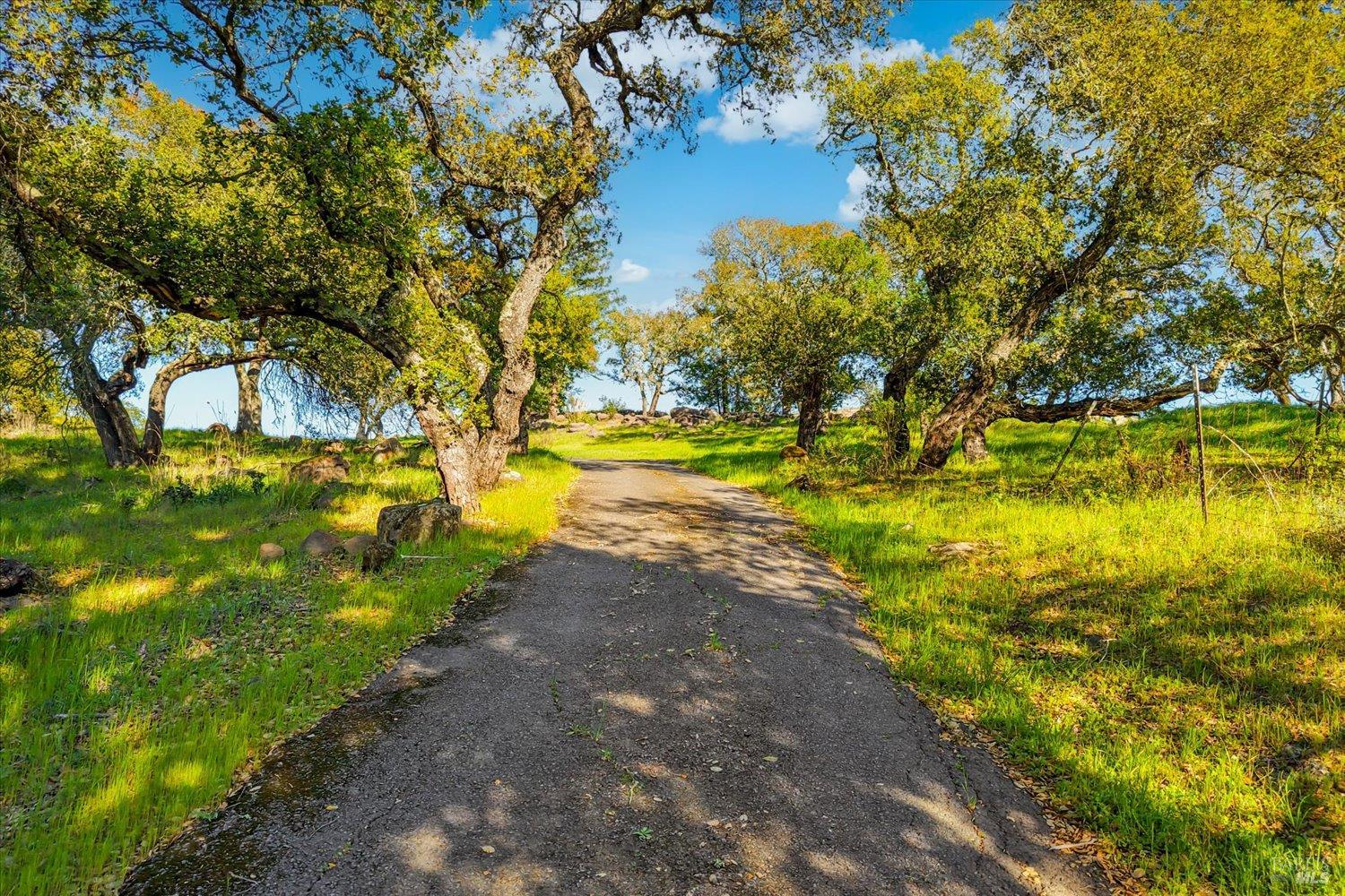 2355 Atlas Peak Road