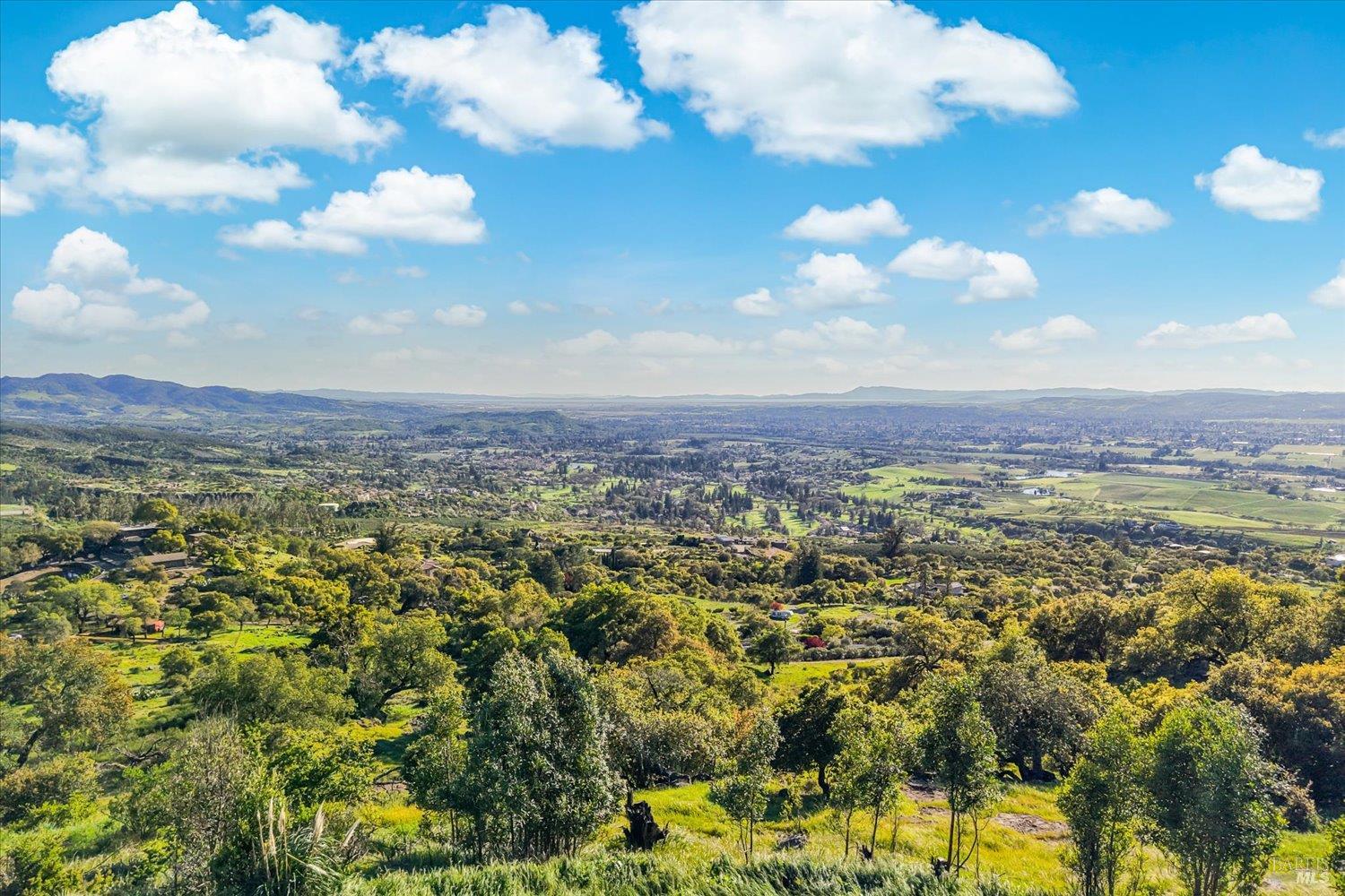 2355 Atlas Peak Road