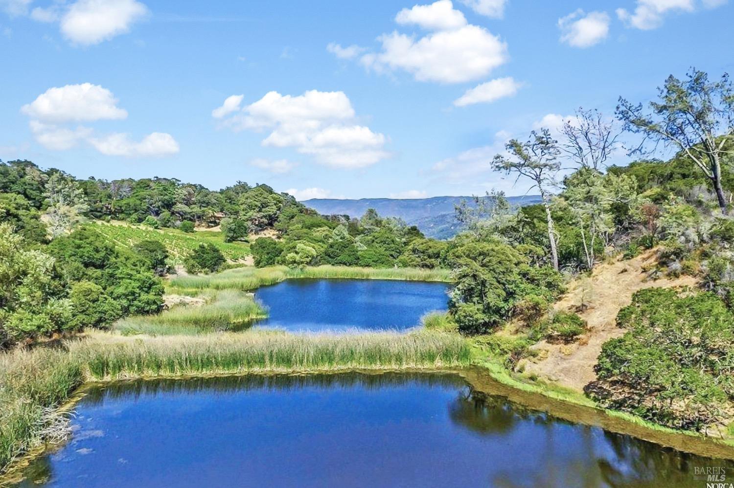 4080 Atlas Peak Road