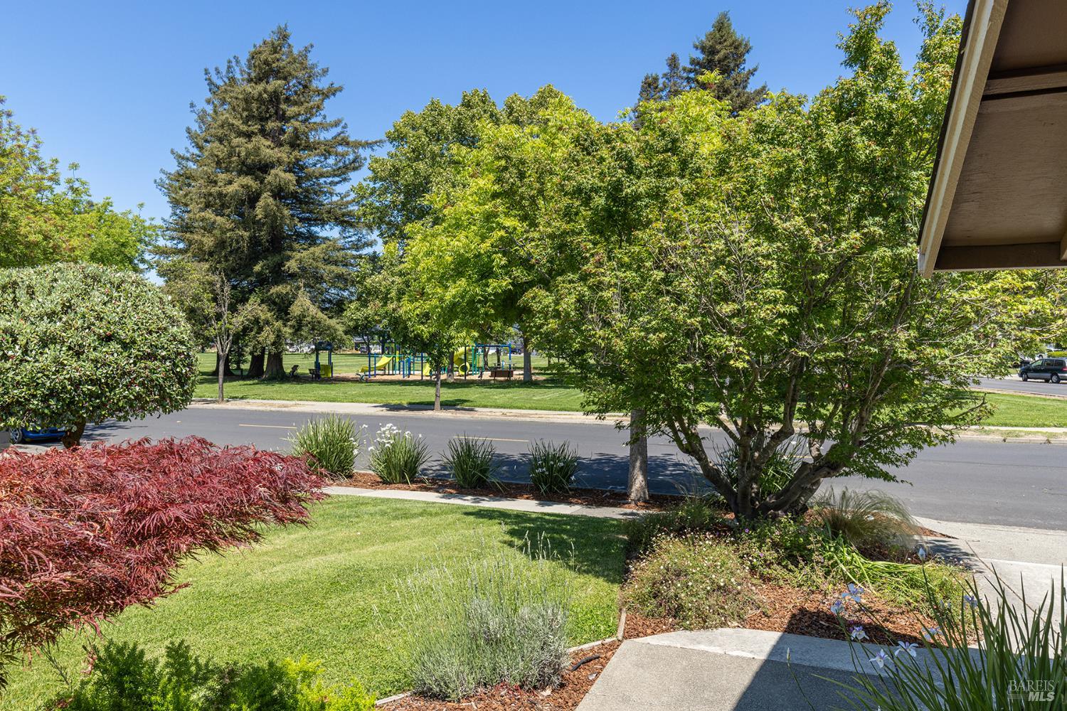2491 Vine Hill Drive