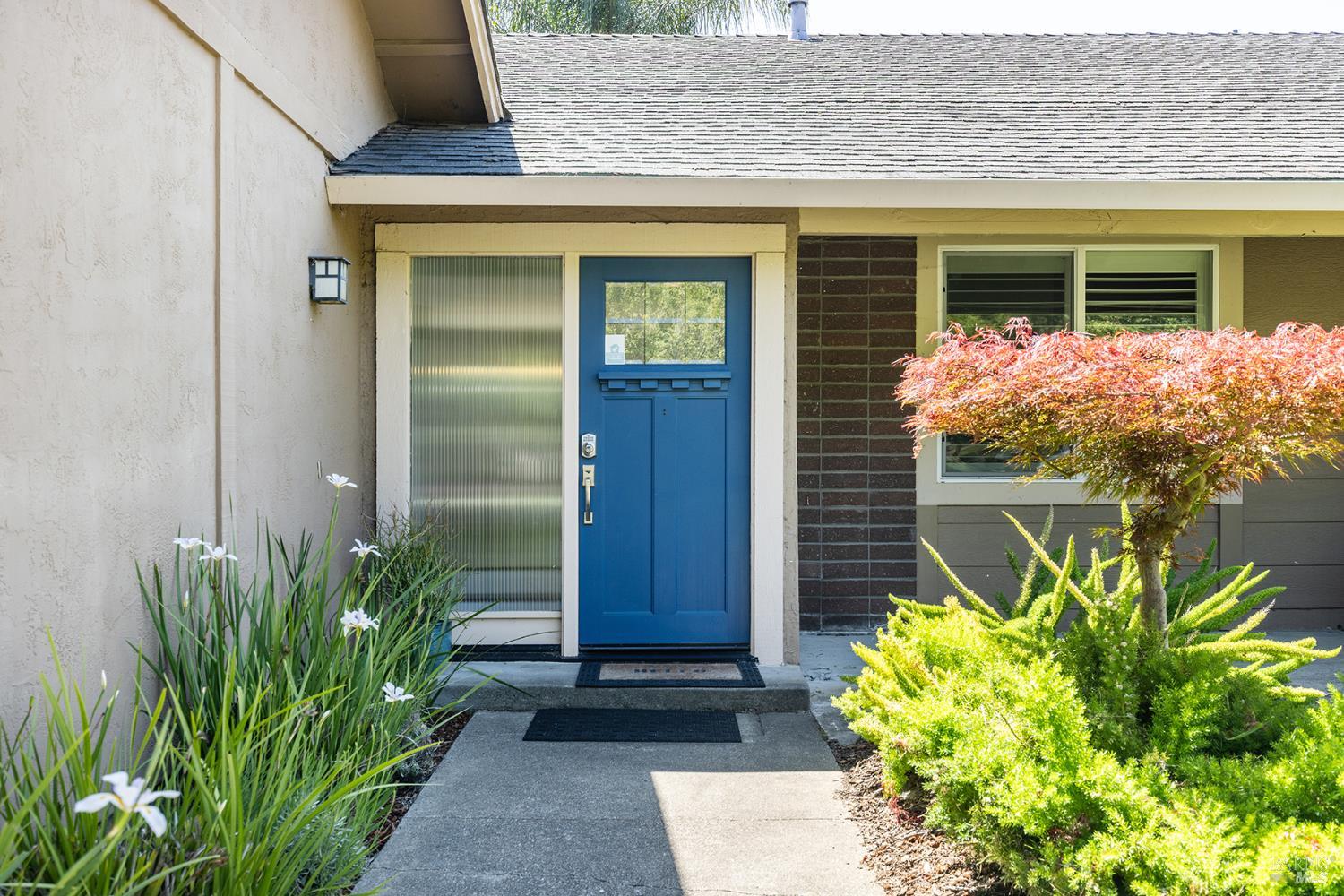 2491 Vine Hill Drive