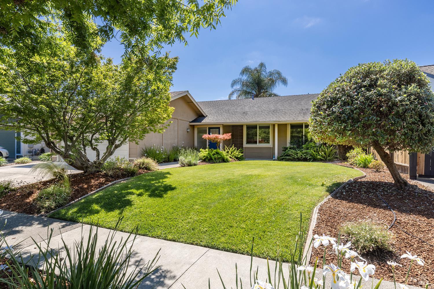 2491 Vine Hill Drive