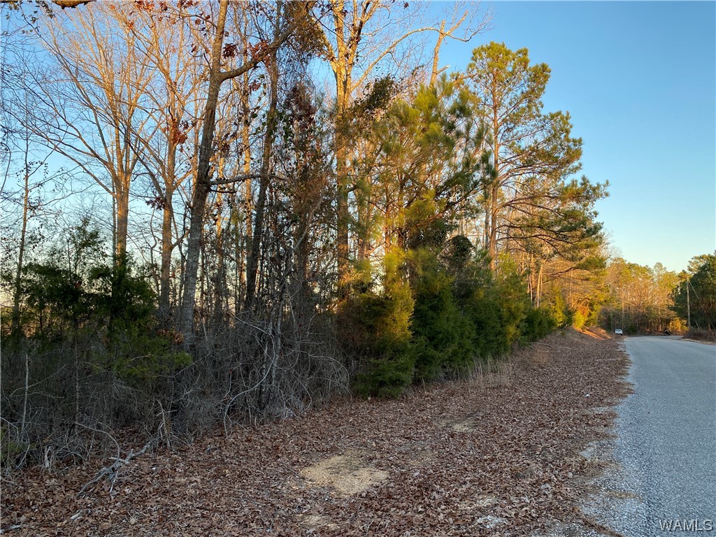 3 Harless Road