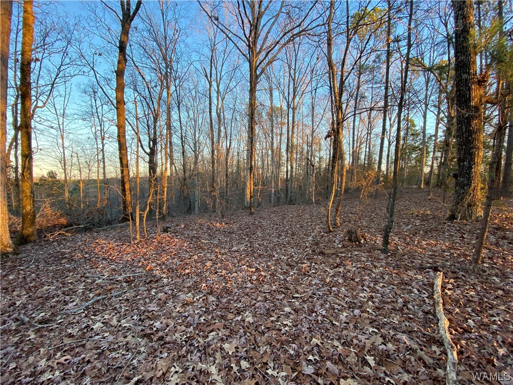 3 Harless Road